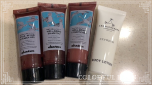 lotte-city-hotel-myeongdong03