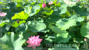 画像uesugi-shrine01